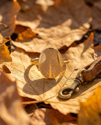 Bague gravée d'une empreinte de truffe – Atelier Ysole, vue 4